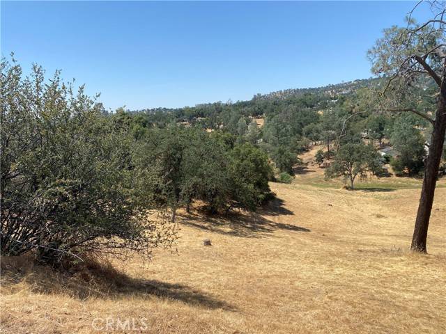 Coarsegold, CA 93614,17 Titan Way WAY