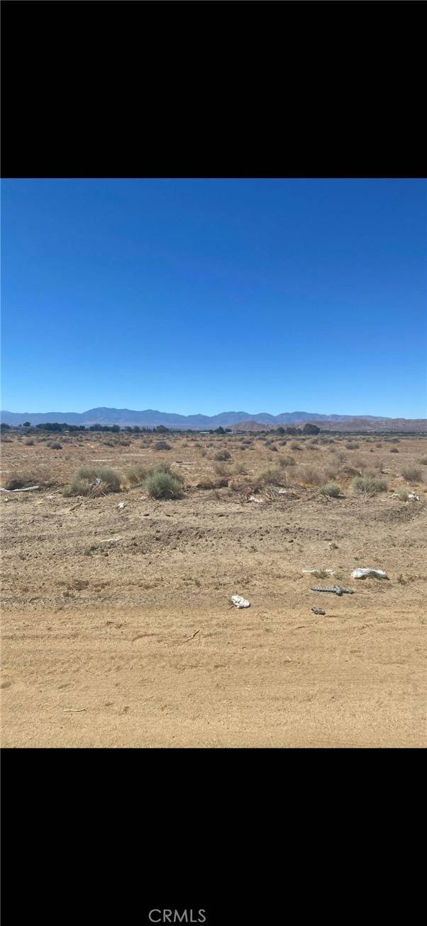 Lake Los Angeles, CA 93535,168 Ste (Drt) Vic AVE