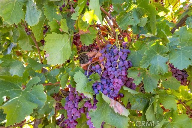 Lucerne Valley, CA 92356,10099 Highland AVE