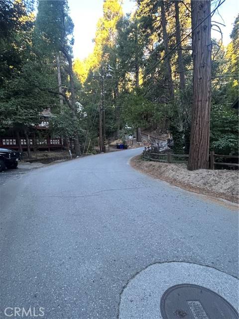 Crestline, CA 92325,0 Nesthorn DR