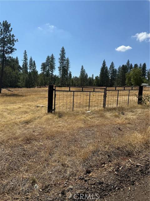 Coulterville, CA 95311,6479 Pine DR