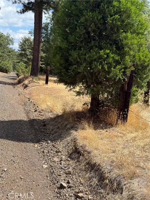 Coulterville, CA 95311,6479 Pine DR