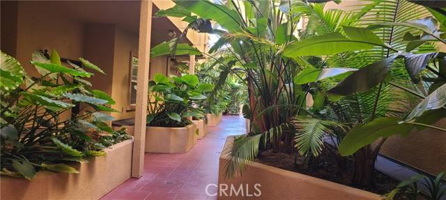 Burbank, CA 91501,555 E Santa Anita AVE 301