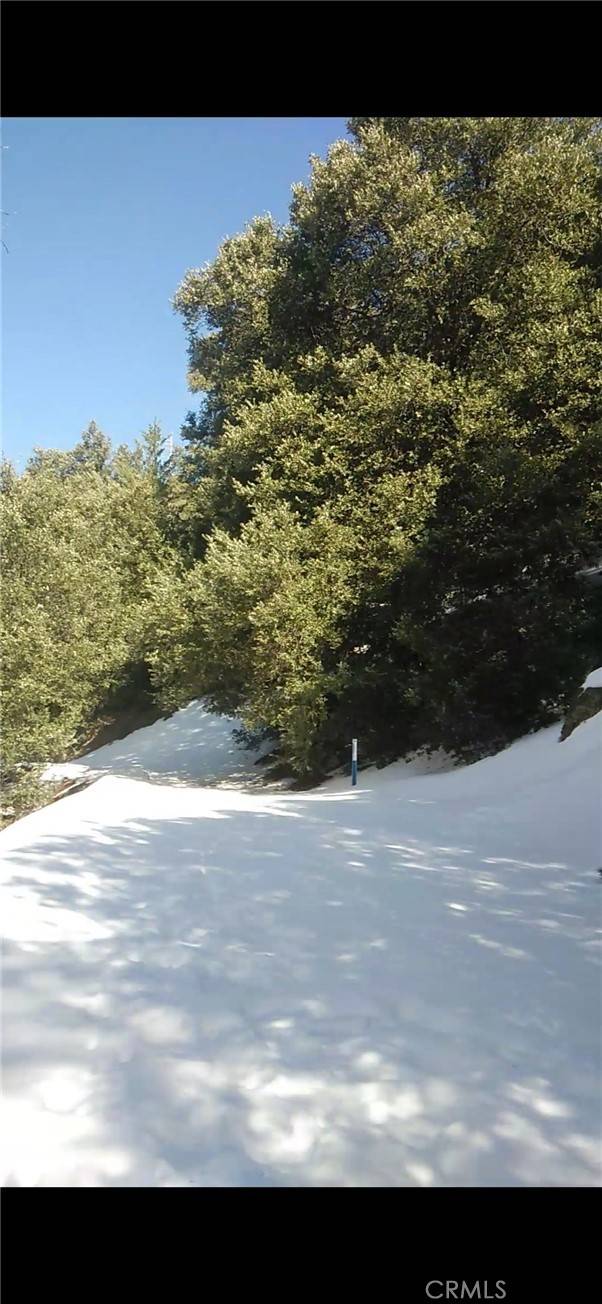 Crestline, CA 92325,0 Saxon