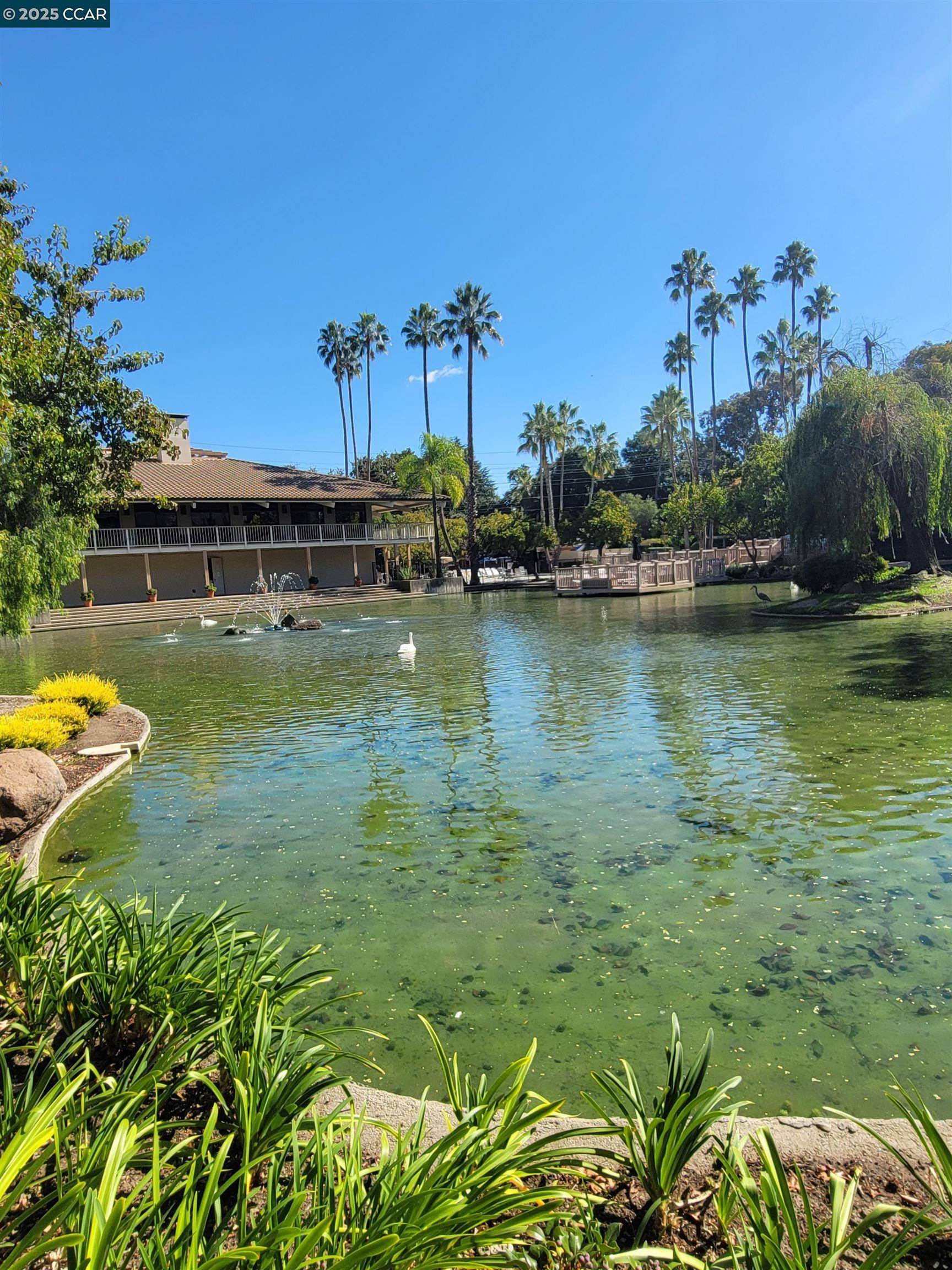 Walnut Creek, CA 94597,310 N Civic Dr. 315