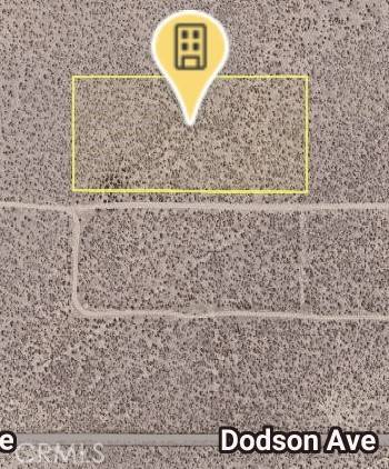 Cantil, CA 93501,1 neuralia