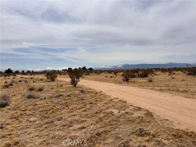 Adelanto, CA 92301,0 Pearmain