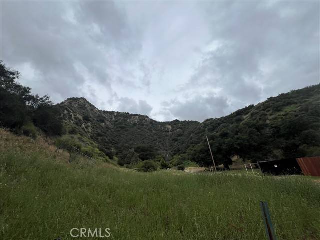 Castaic, CA 91384,0 Jackson