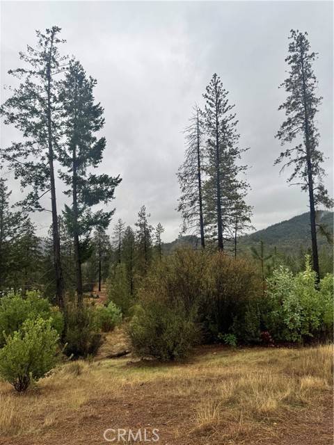 Middletown, CA 95461,21575 My WAY