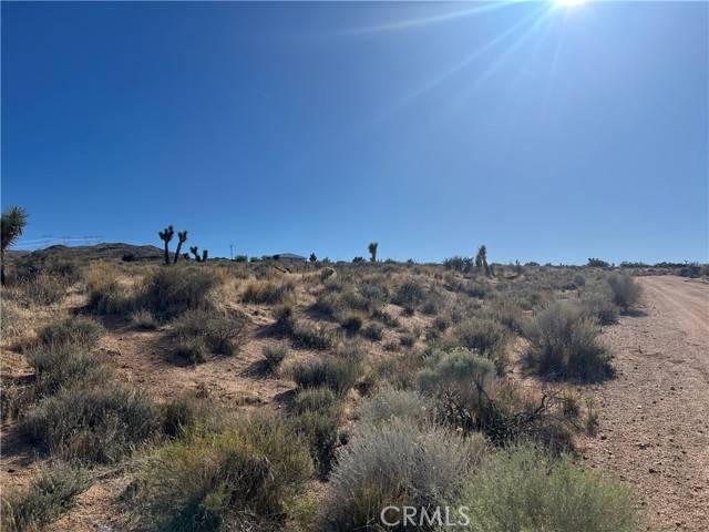 Apple Valley, CA 92308,26330 Mountain View RD