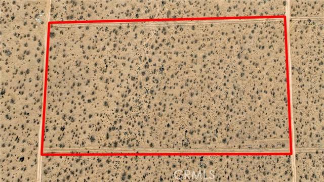 Apple Valley, CA 92308,0 Lagartijo