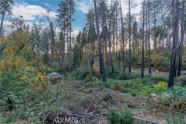 Paradise, CA 95969,1770 Heynen