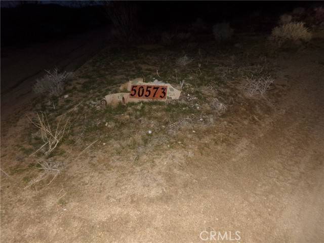 Johnson Valley, CA 92285,50573 Cholla
