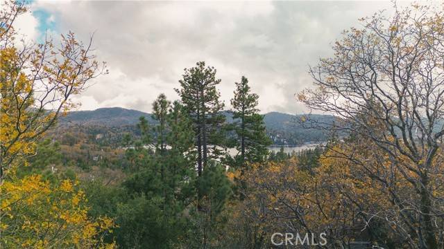 Lake Arrowhead, CA 92352,0 Yosemite DR