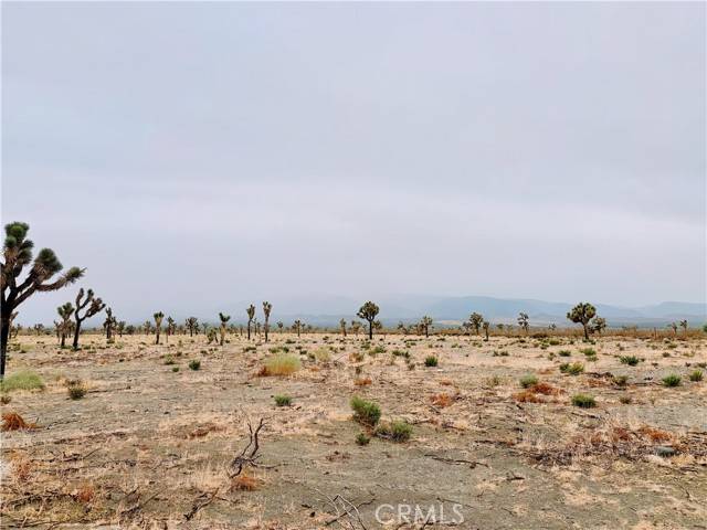 Pinon Hills, CA 92372,12452 Golden VW