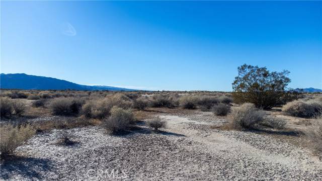 Newberry Springs, CA 92365,0 No address available