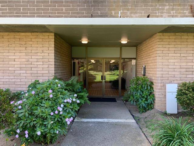 Daly City, CA 94015,349 Philip DR 305