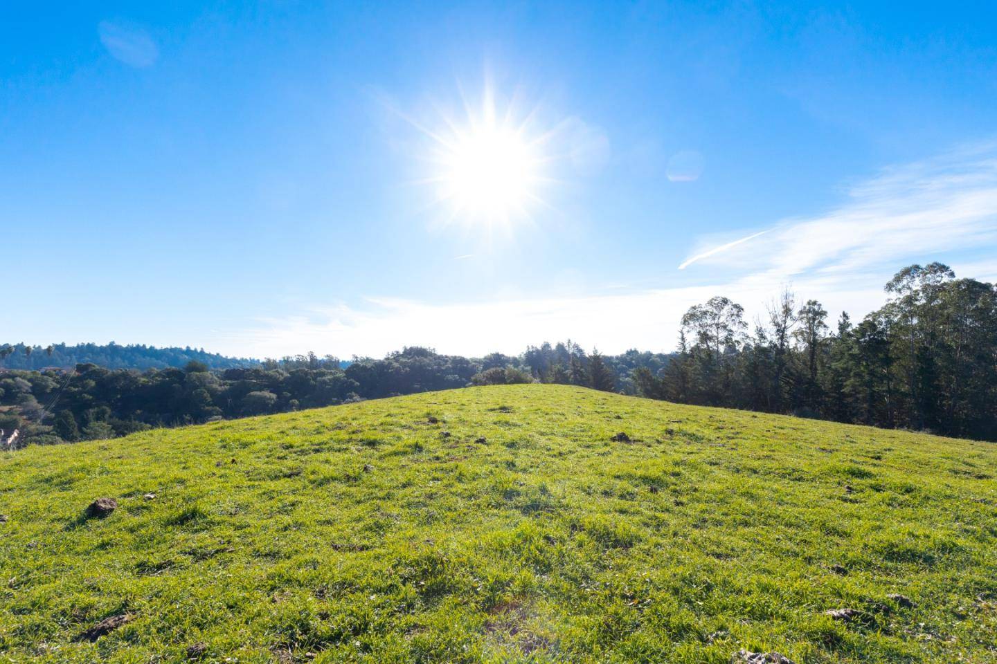 Soquel, CA 95073,0 muir