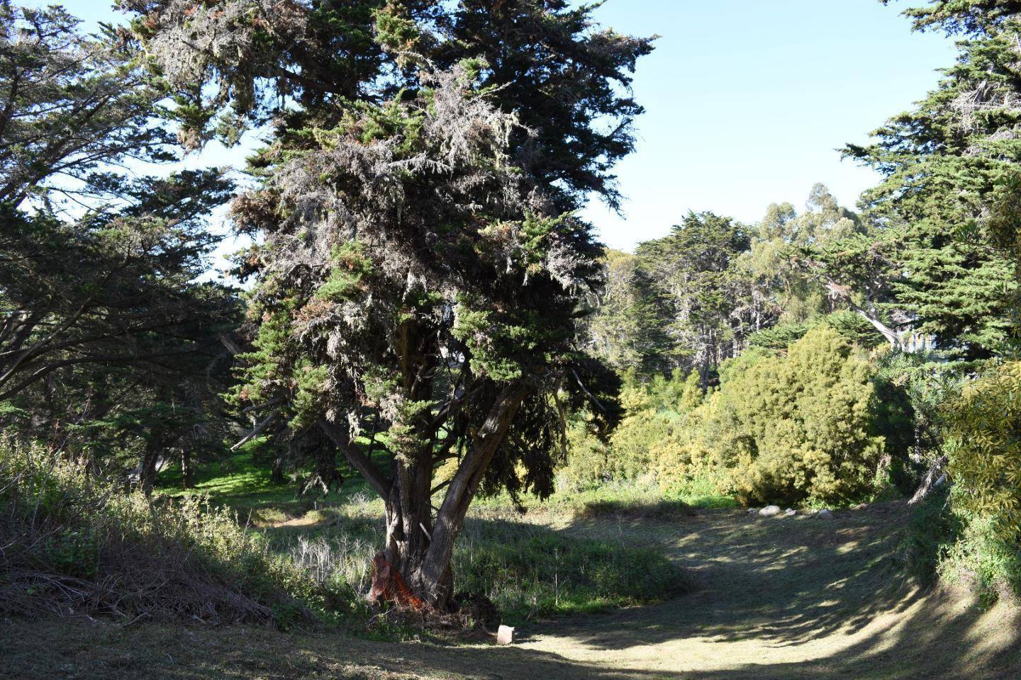 Carmel Highlands, CA 93923,0000 Spindrift RD