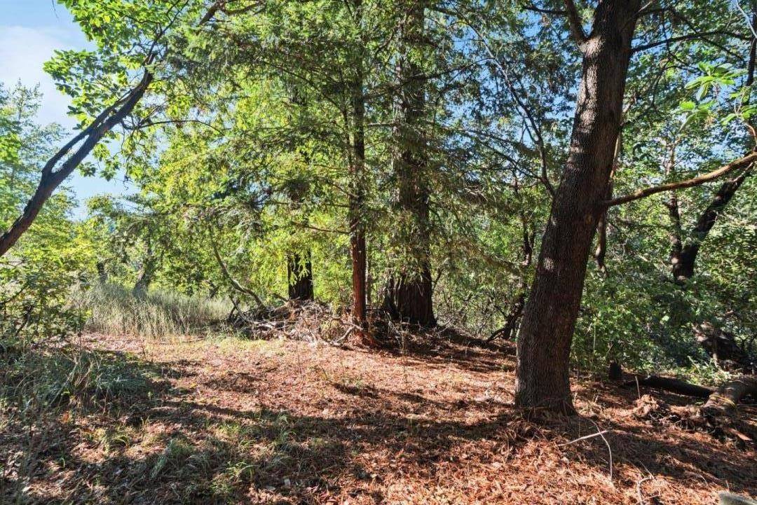 Los Gatos, CA 95033,Lot 50 Middle Ellen RD