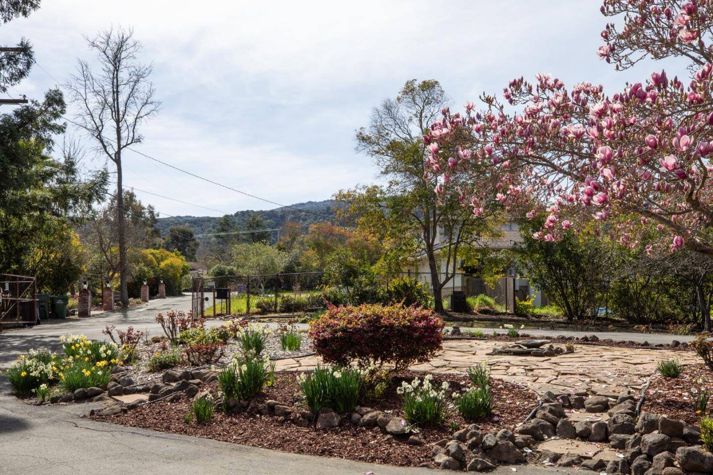 Los Altos Hills, CA 94022,25625 Elena RD