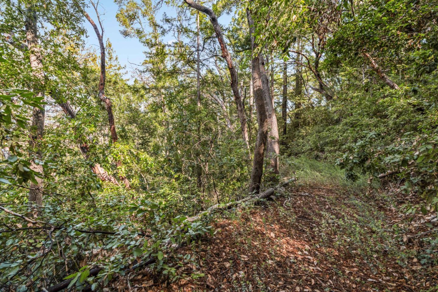 Felton, CA 95018,Lot 33 Madrone AVE