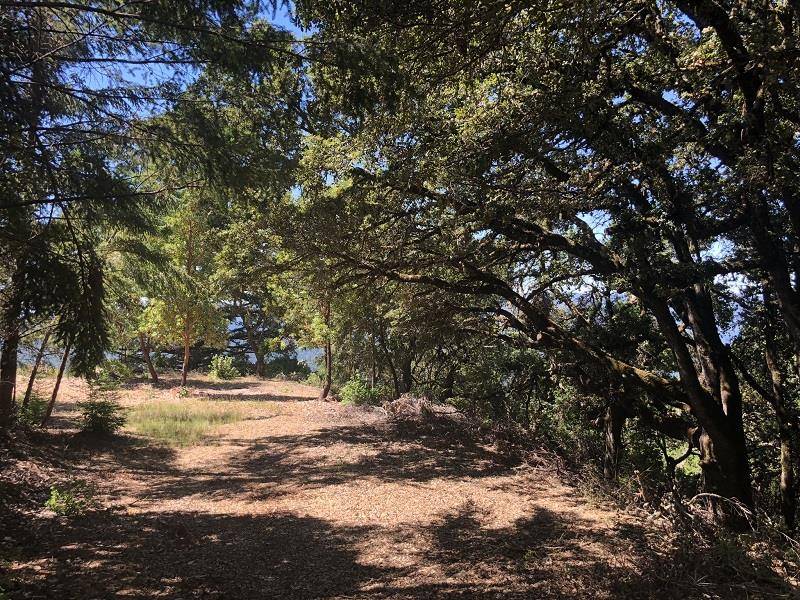 Boulder Creek, CA 95006,0 Skyview (North) RD
