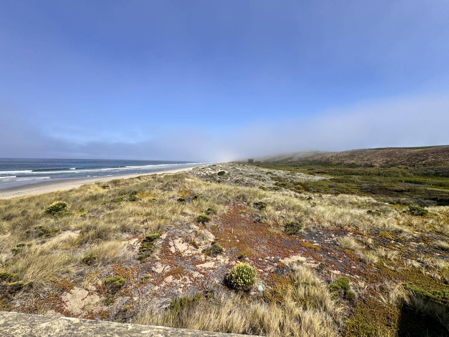 La Selva Beach, CA 95076,101 Shell 304