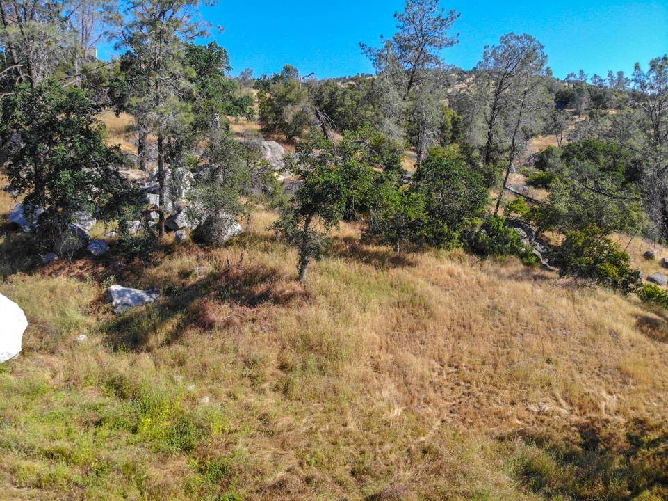 Coarsegold, CA 93614,0 Long Hollow DR