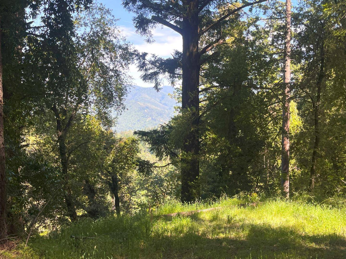 Los Gatos, CA 95033,19179 Skyline BLVD