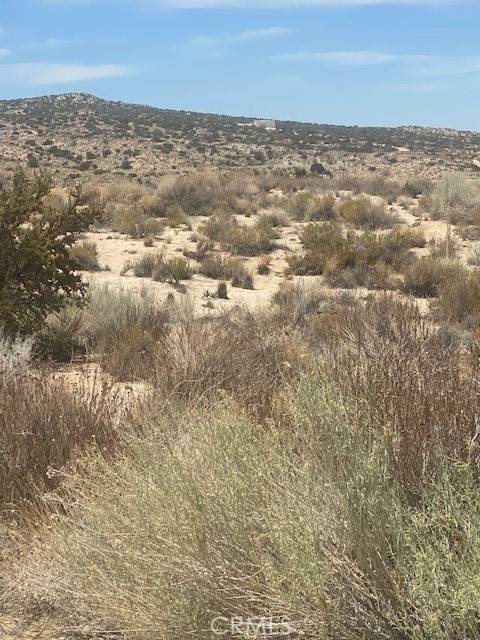 Llano, CA 93544,0 Vac/Vic Ft Tejon Rd/160 Ste