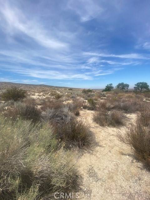 Llano, CA 93544,0 Vac/Vic Ft Tejon Rd/160 Ste