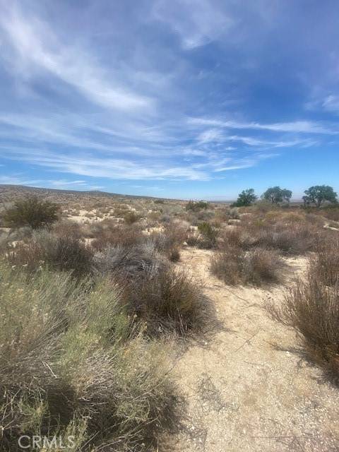 Llano, CA 93544,1 Vac/Vic Ft Tejon Rd/160 Ste