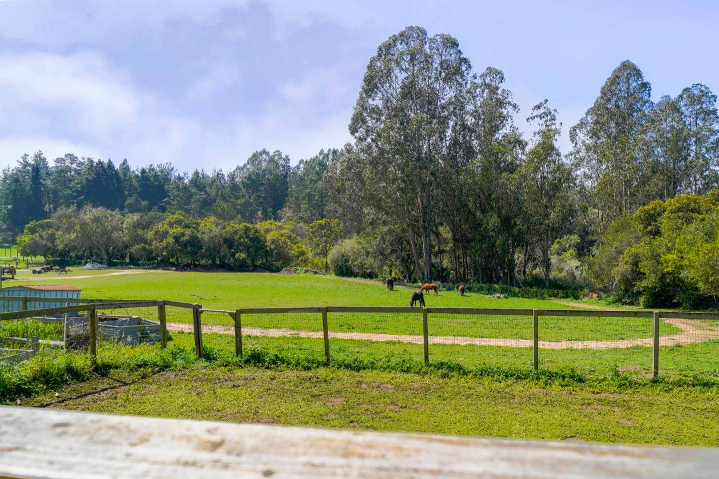 La Selva Beach, CA 95076,660 Peaceful Valley DR