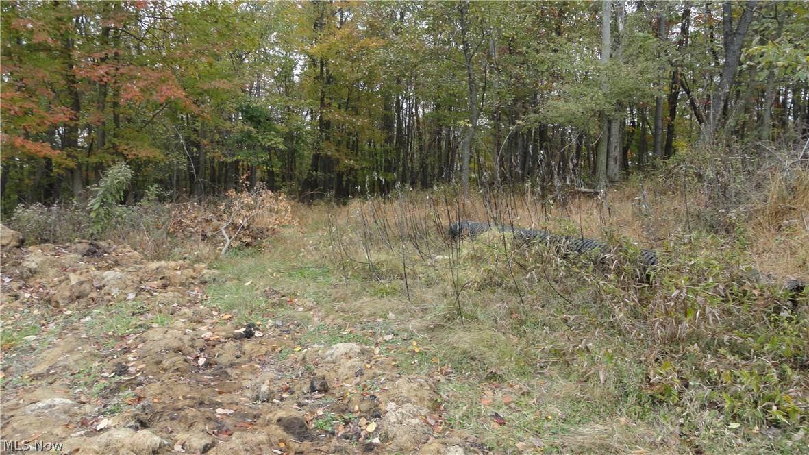 Weirton, WV 26062,Bryden Rd - Lot # 40