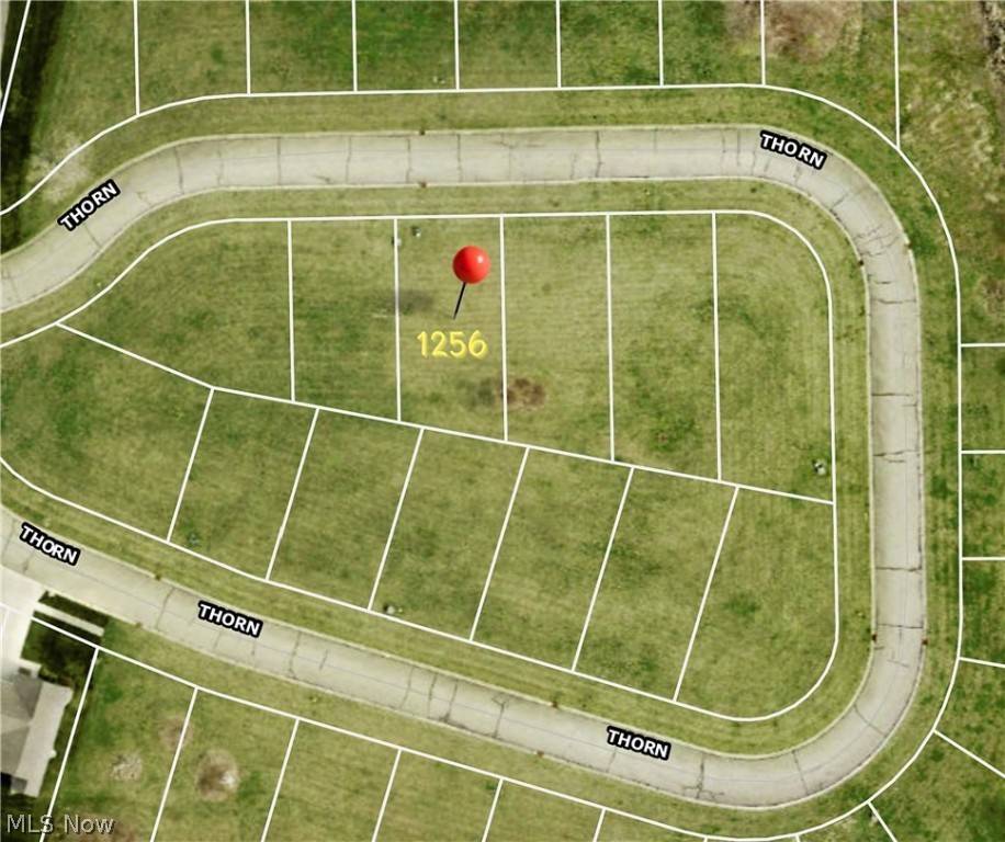 Doylestown, OH 44230,1256-S/L Thorn WAY