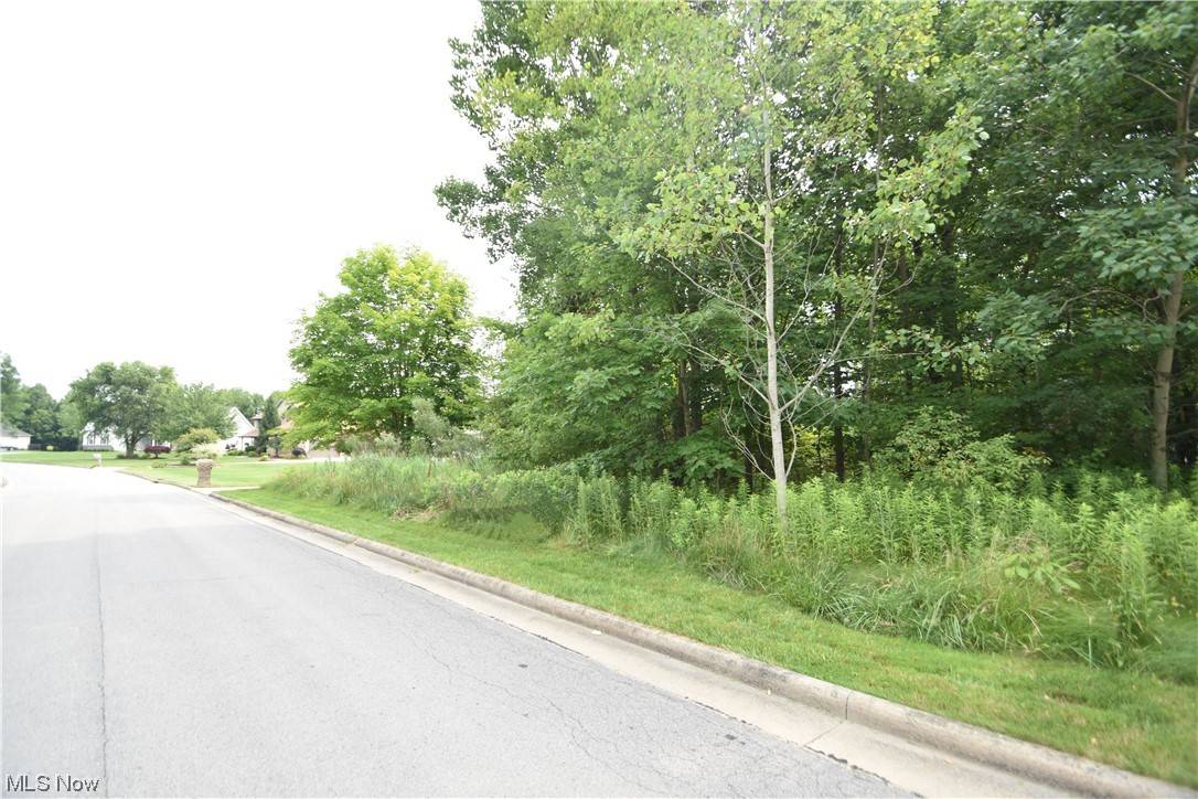 Boardman, OH 44512,Saddlebrook Lot 107 DR