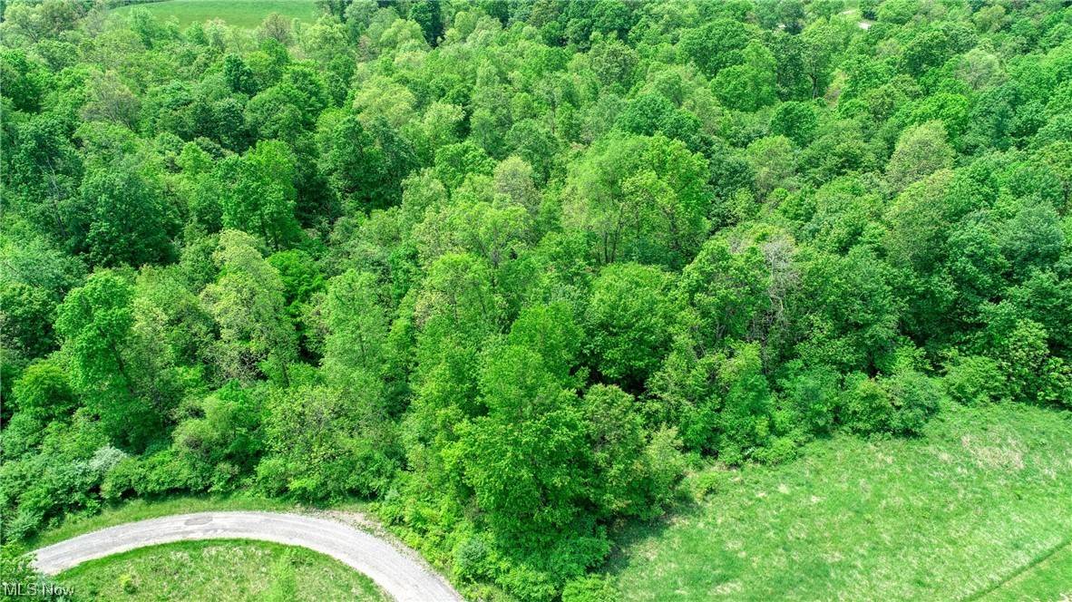 Lore City, OH 43755,63600 Wintergreen RD