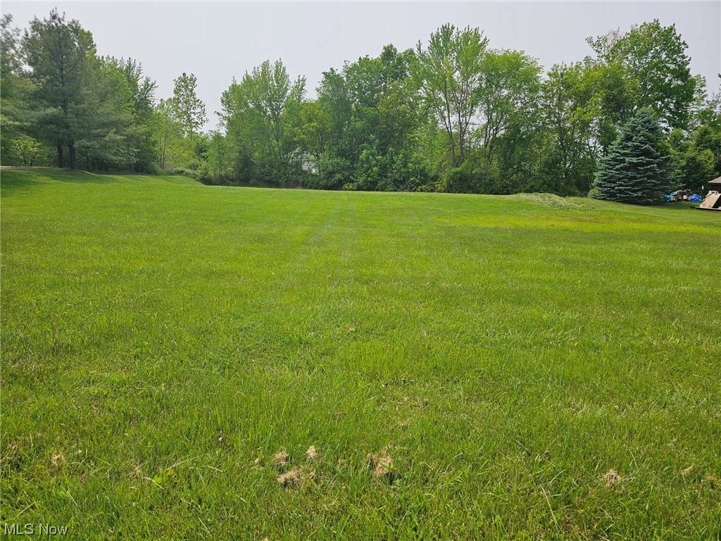 Cortland, OH 44410,7 Tami CT