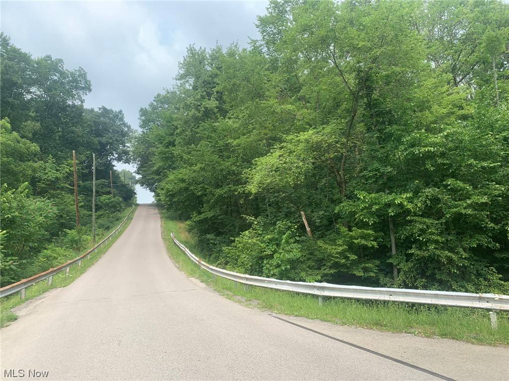 Negley, OH 44441,47752 Chippewa TRL