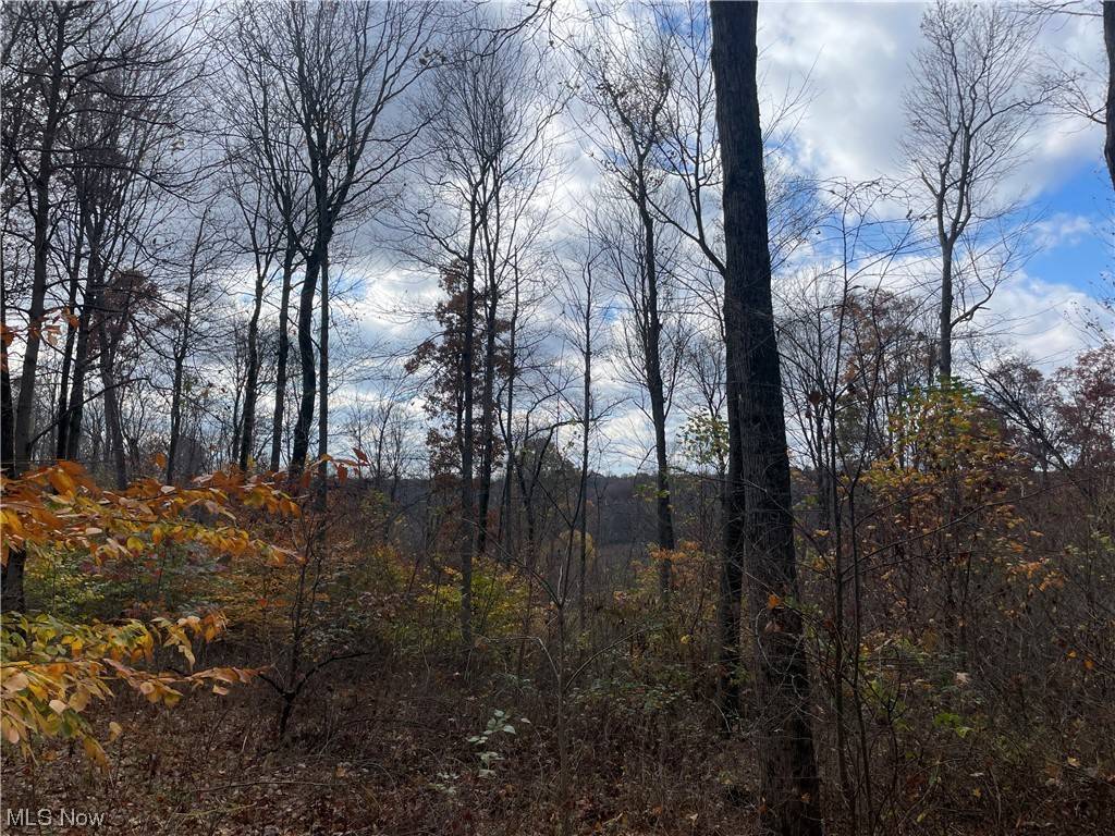 Fresno, OH 43824,Township Road 176