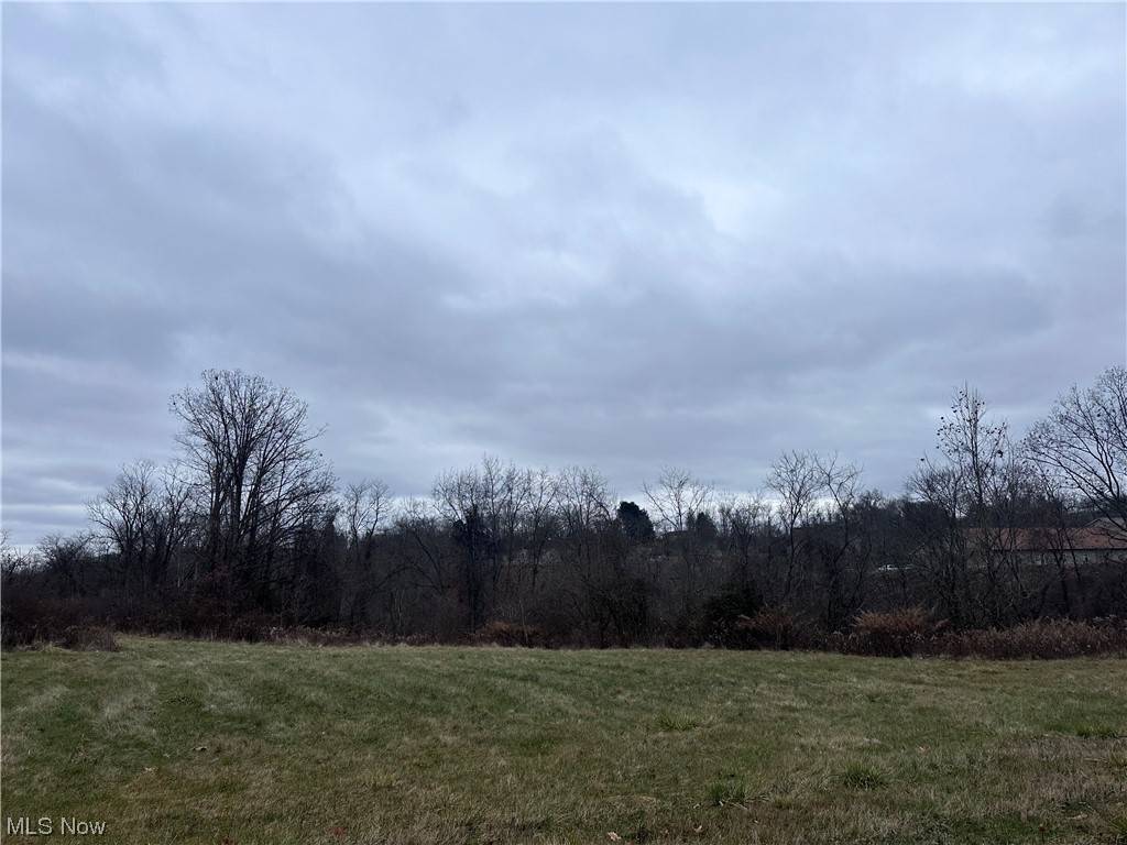 Steubenville, OH 43952,Sinclair AVE