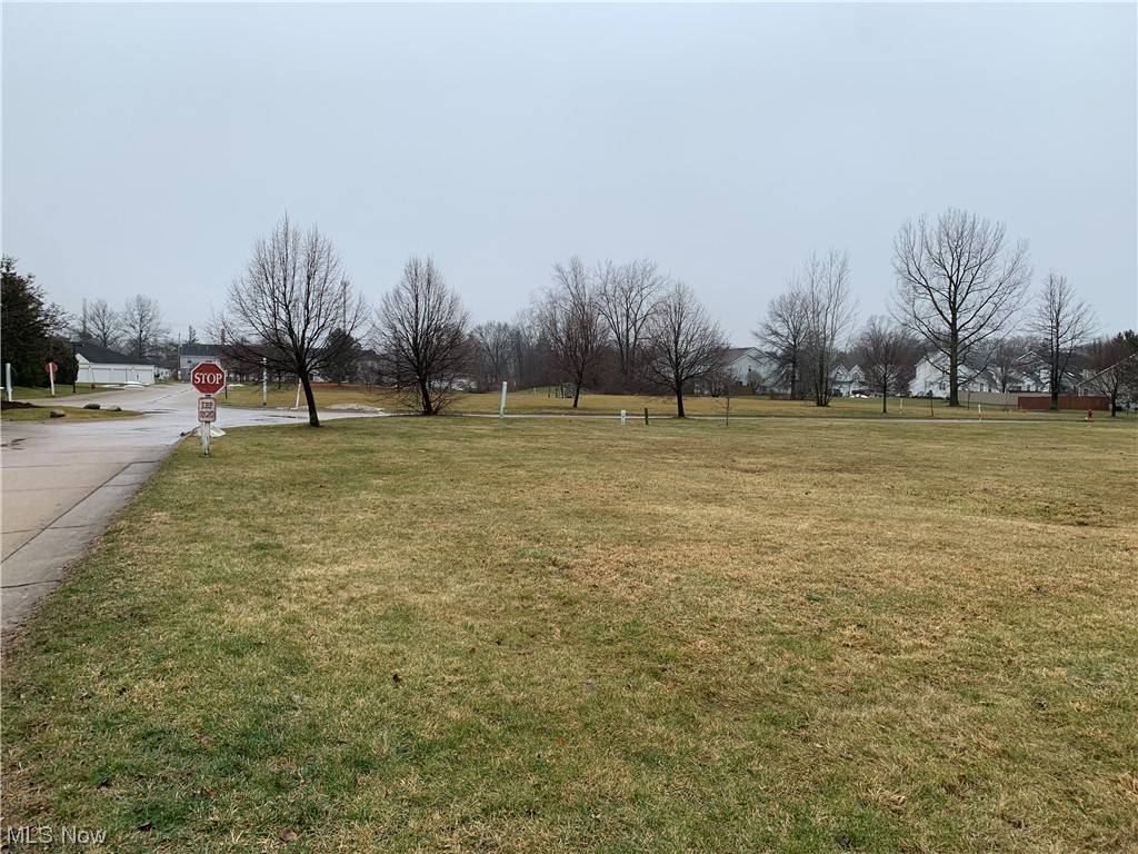 Olmsted Falls, OH 44138,V/L Chandlers LN