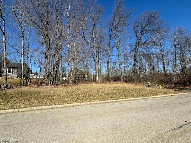 Salem, OH 44460,Edgewood LOT 131