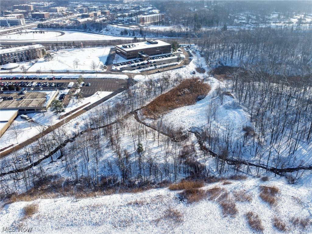Independence, OH 44131,Acorn DR