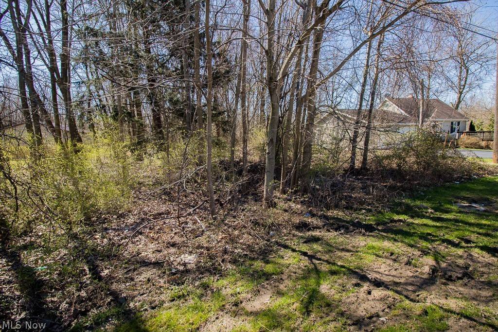 Painesville Township, OH 44077,1582 Madison AVE