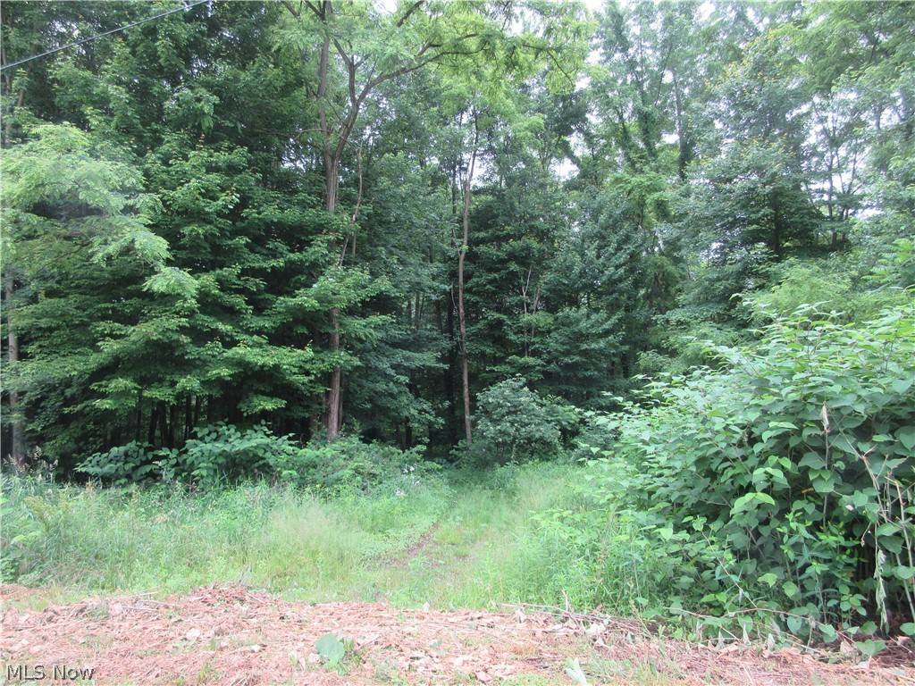 Linesville, PA 16424,Phelps RD