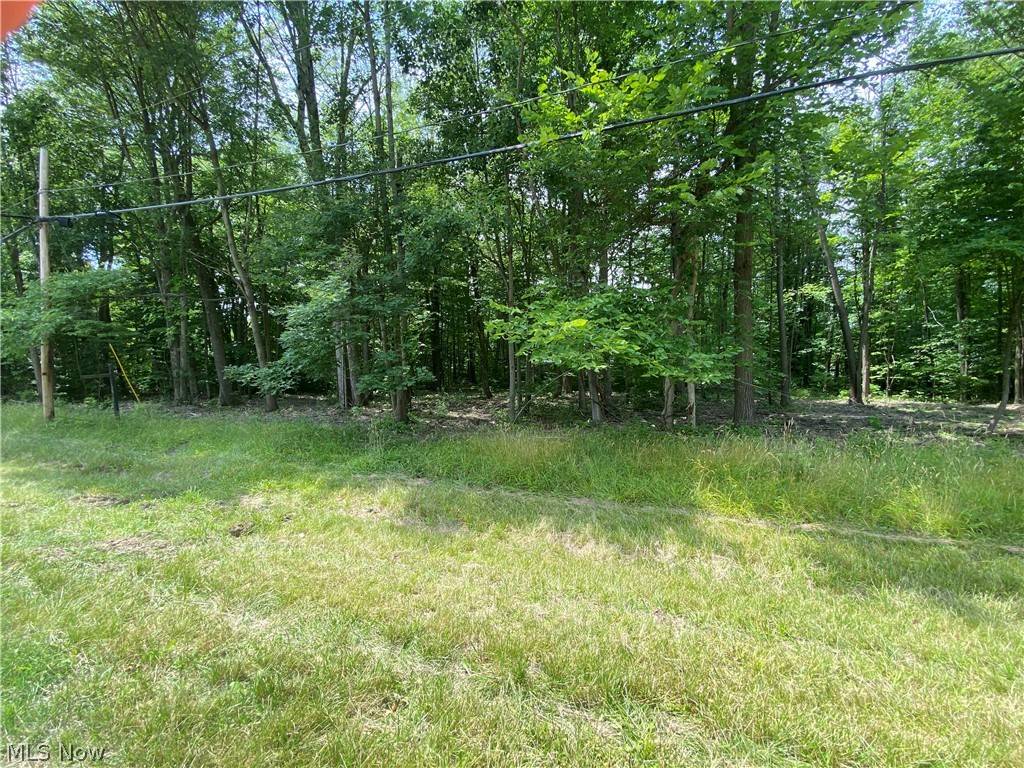Roaming Shores, OH 44084,Columbia LN