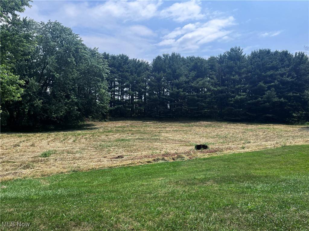 Jackson Township, OH 44216,Foxglove AVE NW