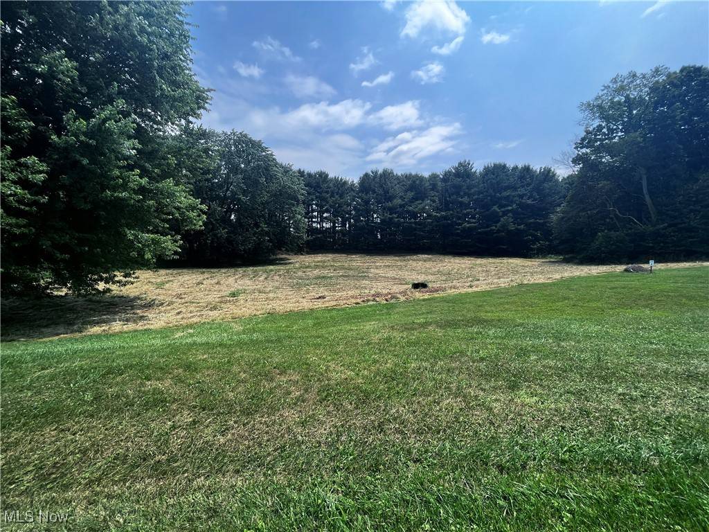 Jackson Township, OH 44216,Foxglove AVE NW